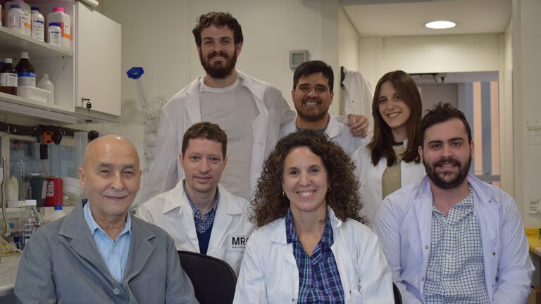 Por primera vez, científicos argentinos visualizaron en tiempo real un receptor clave vinculado al Alzheimer